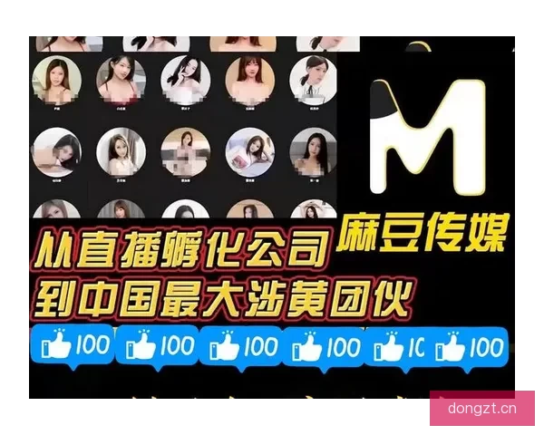 果冻传媒视频：探索视觉盛宴，解锁无限可能